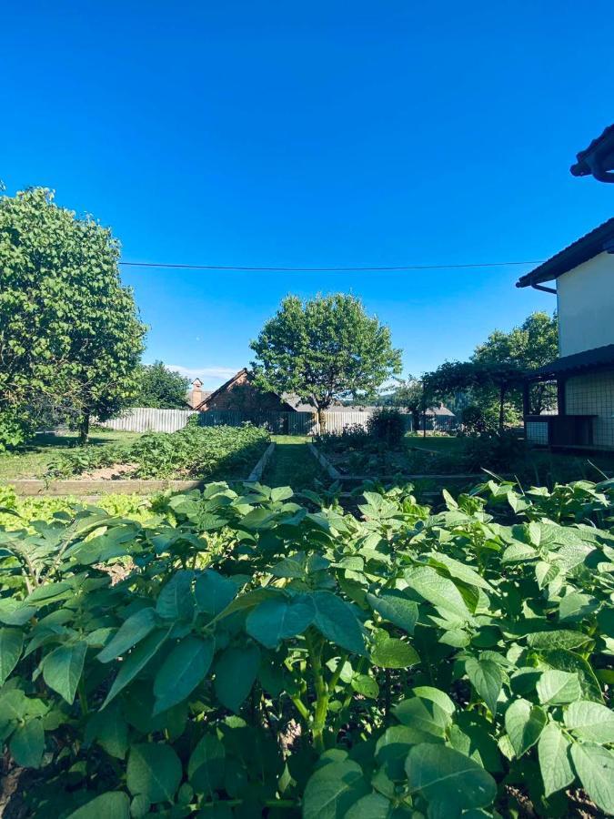 Apartma Kamnitnk Škofja Loka Dış mekan fotoğraf